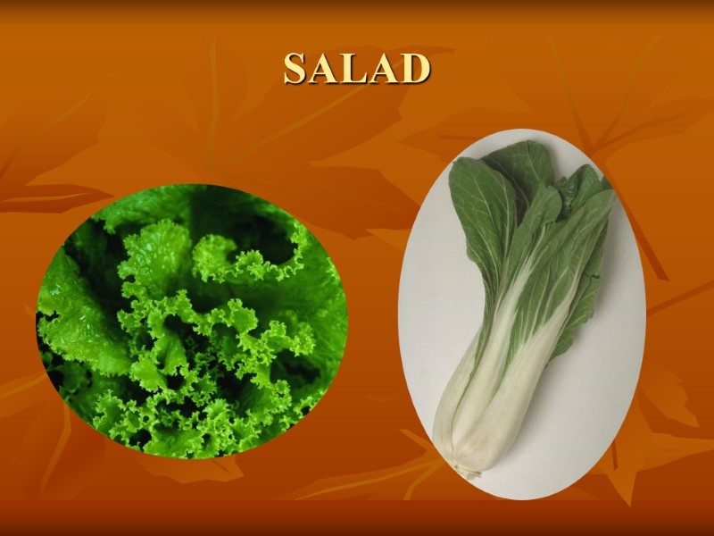 SALAD